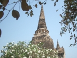 Tempel_-_Ayutthaya
